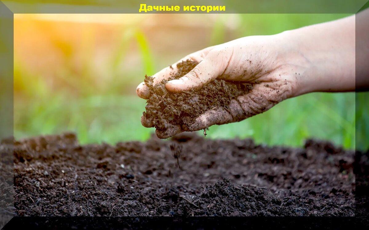 Как повысить плодородие почвы, приготовить безопасный и качественный компост, заготовить землю для рассады
