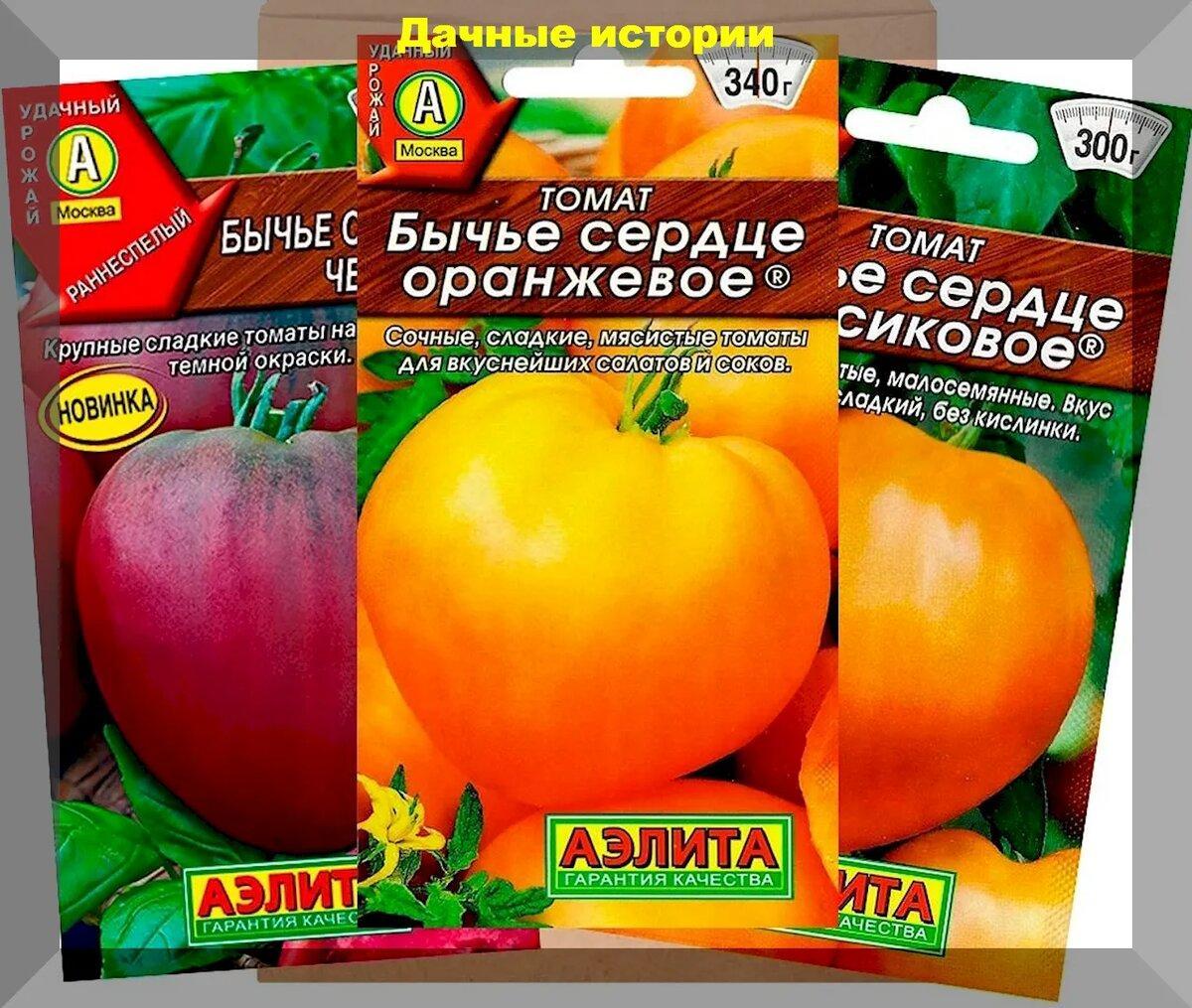 Огурцы, томаты, перцы, баклажаны: лучшие сорта-гибриды овощей, которые дают стабильно высокие урожаи даже у начинающих