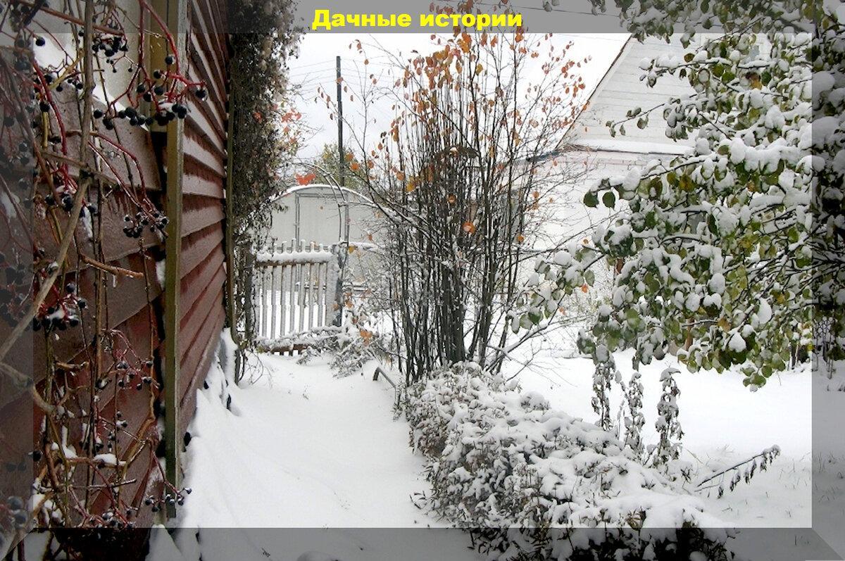 Дача в преддверии зимы: ответы на популярные вопросы от начинающих дачников