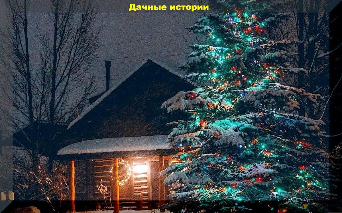 Как разводить фитоспорин, что такое природное земледелие, как смешивать биопрепараты: ответы на важные вопросы дачников