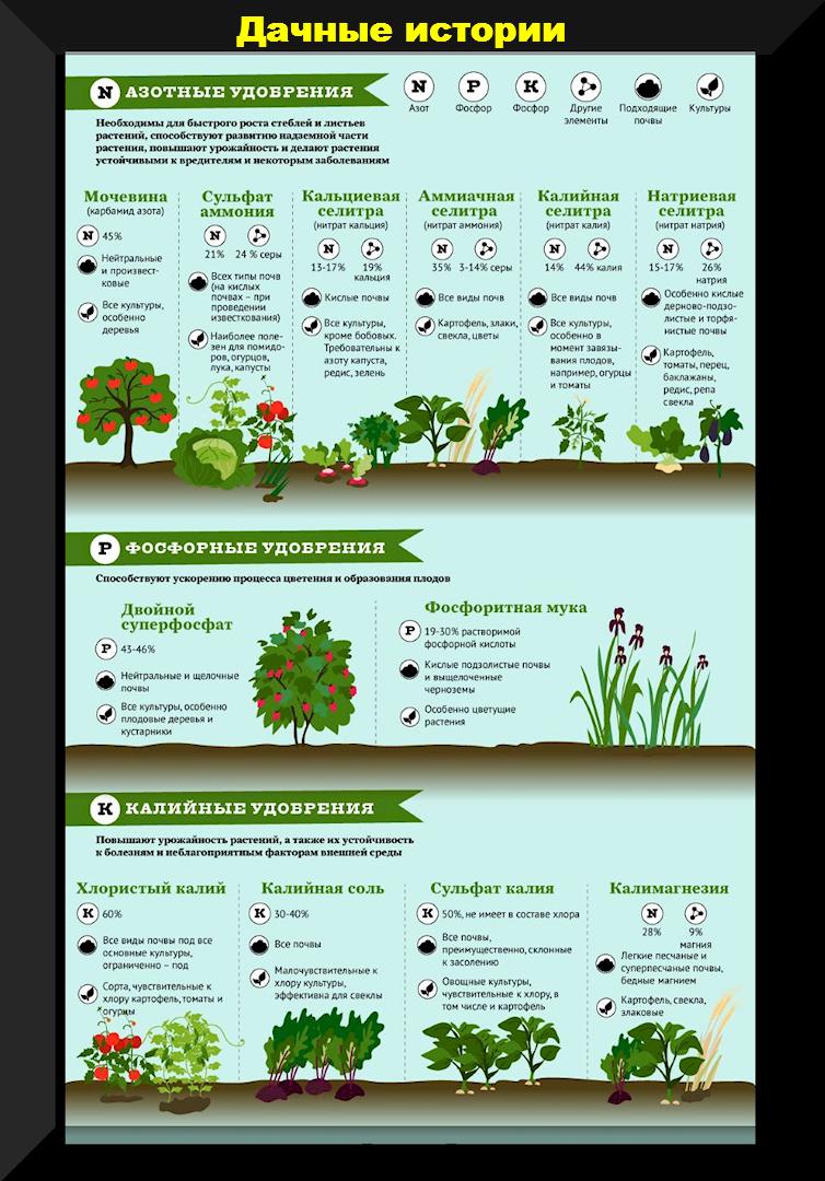 Минимальный набор удобрений для каждого участка и грамотный подход к использованию удобрений
