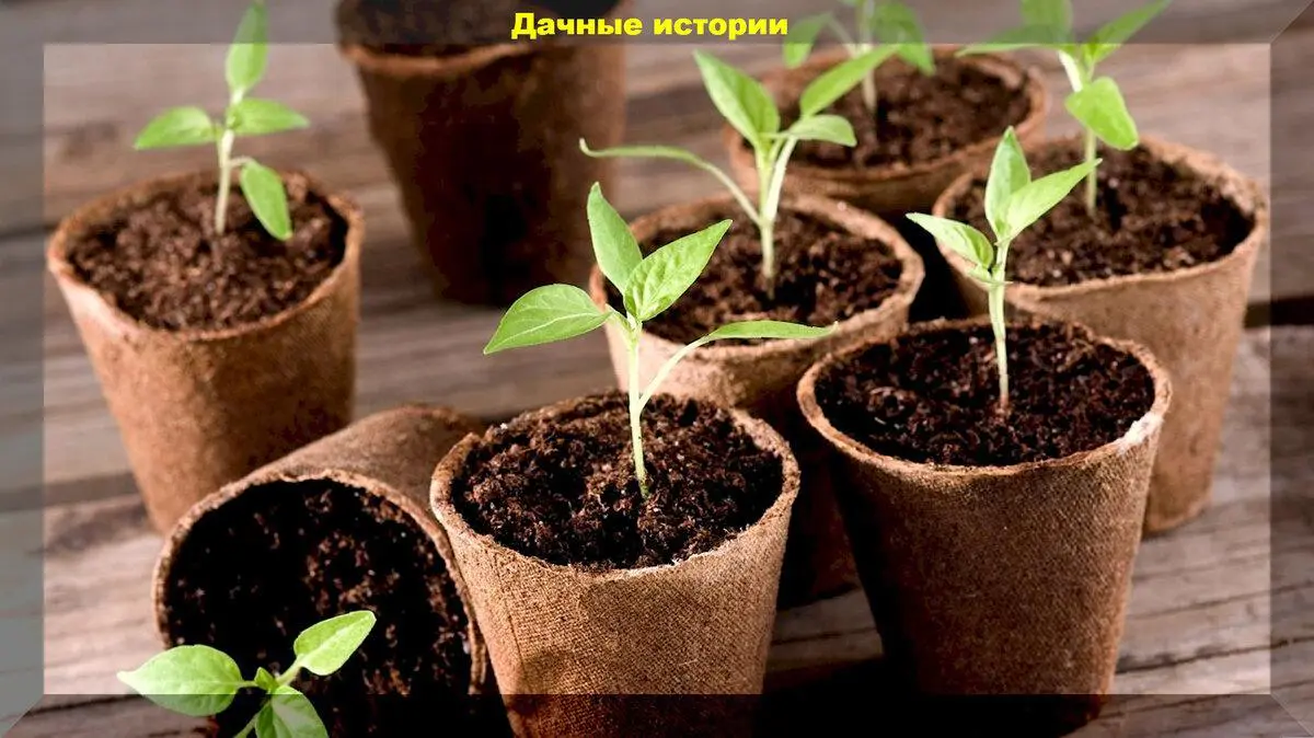 scale_1200 — 2023-03-14T093902.986
