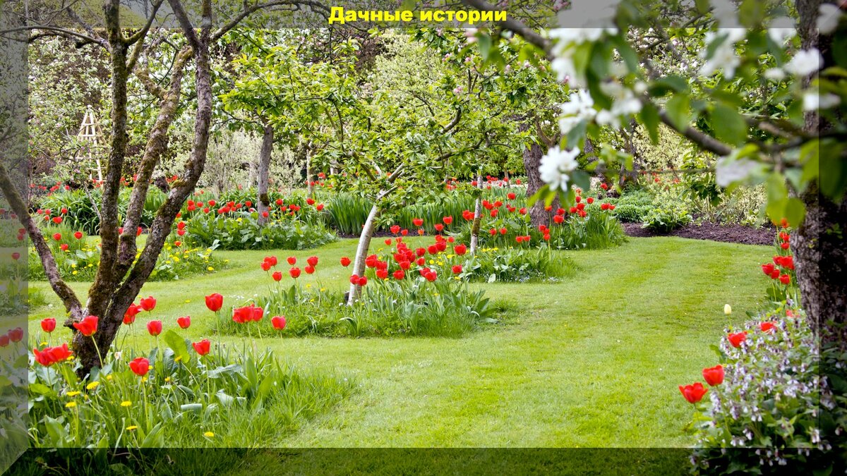 Май на даче: список важных дел для любого дачника, которые надо успеть сделать в саду и огороде в начале мая