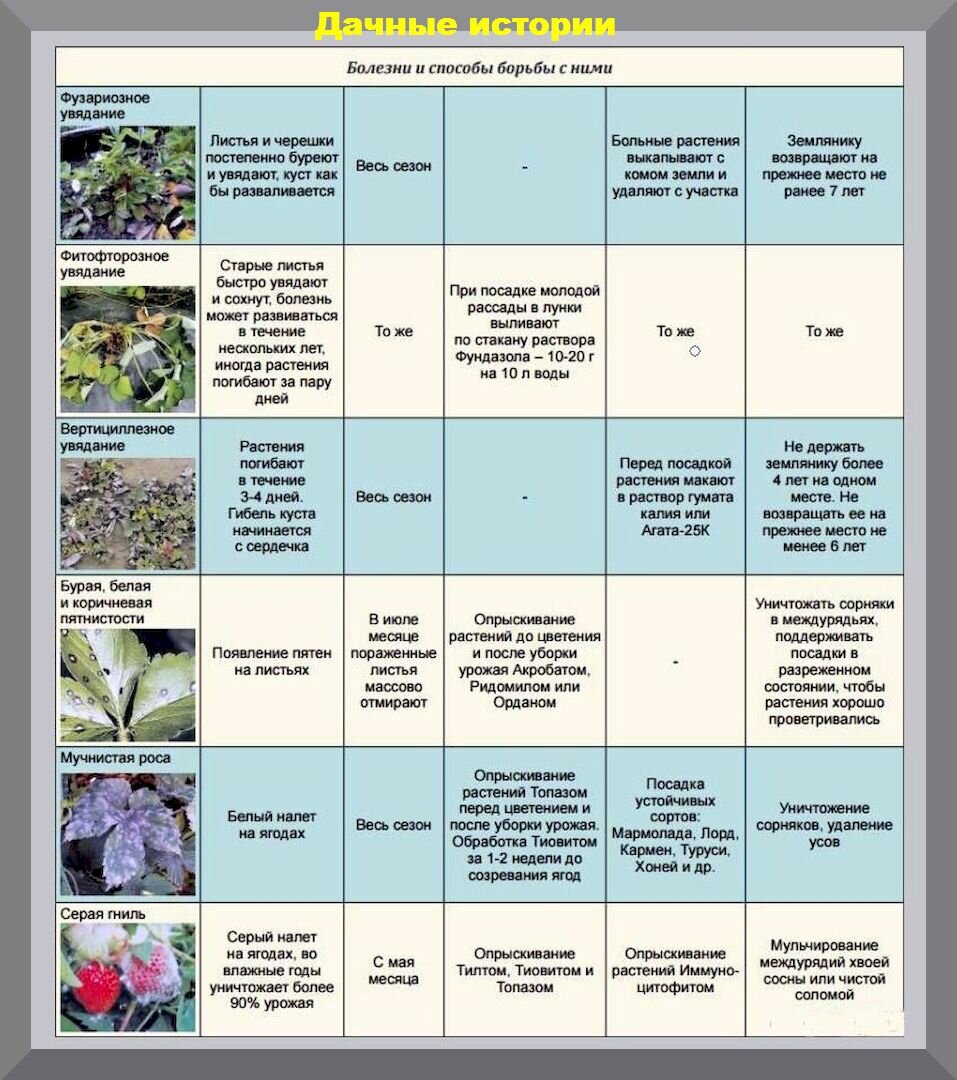 Май на даче: список важных дел для любого дачника, которые надо успеть сделать в саду и огороде в начале мая