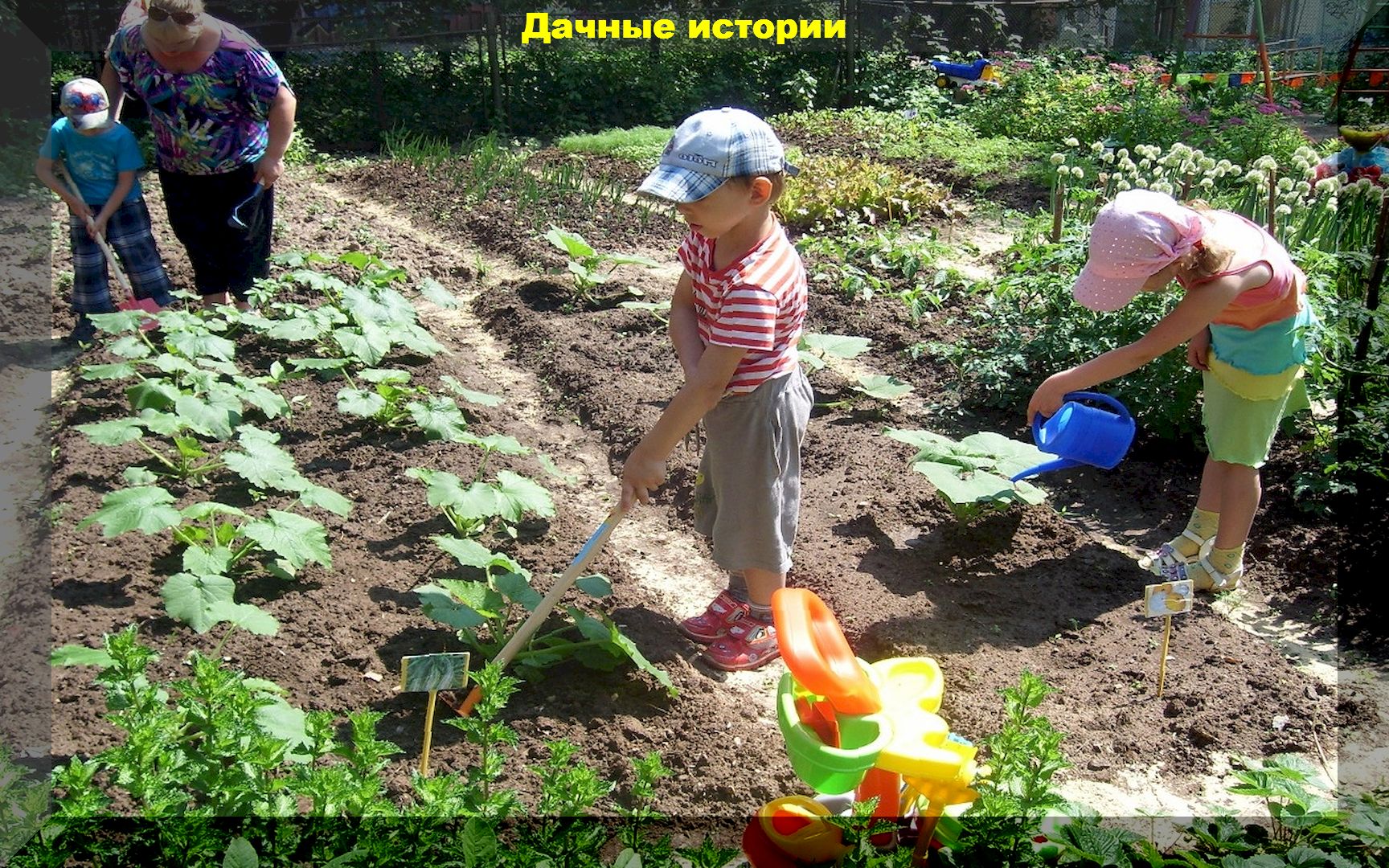 Дети посадили огород