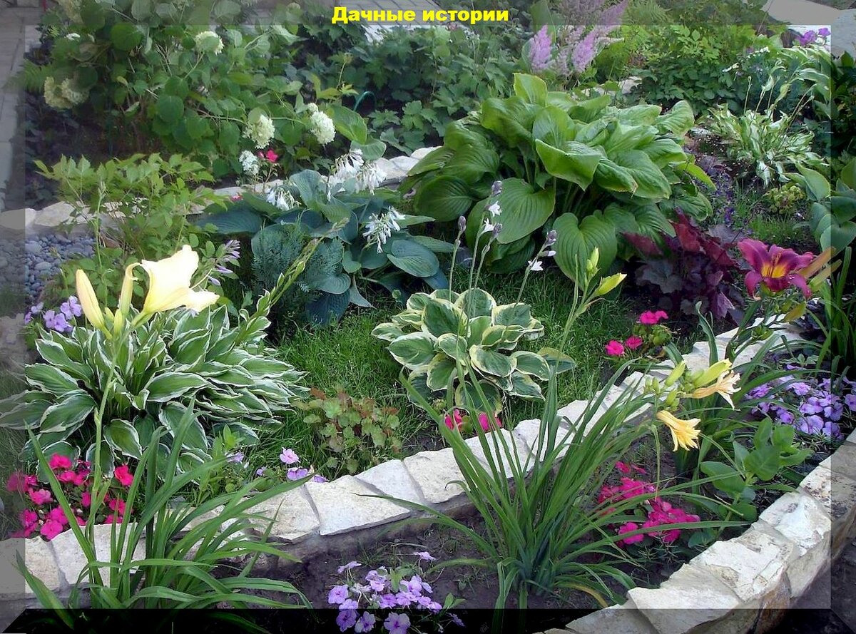 Заботы дачника в июне: подробная шпаргалка на июнь — важные садово-огородные дела