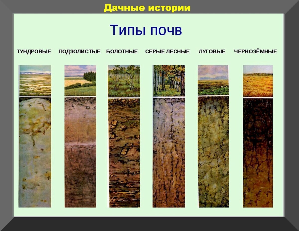 Серые бурые лесные почвы природная зона. Дерново-подзолистые почвы осадки. Типы почв чернозем подзолис. Типы почв в России подзолистые. Характеристика почвы дерново подзолистые почвы.