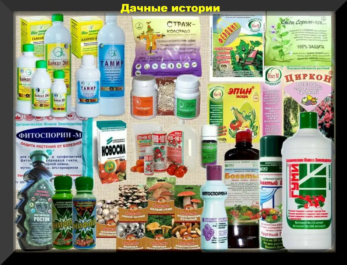 Биопрепараты от А до Я: подробный ликбез по биопрепаратам в вопросах и ответах. Часть 1