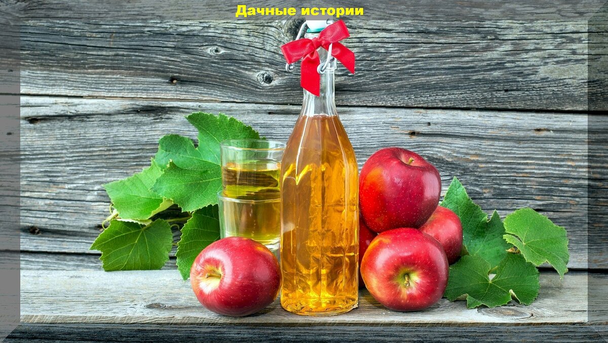 Сделать уксус, поставить квас, вымочить яблоки: три полезных для здоровья способа переработки урожая яблок