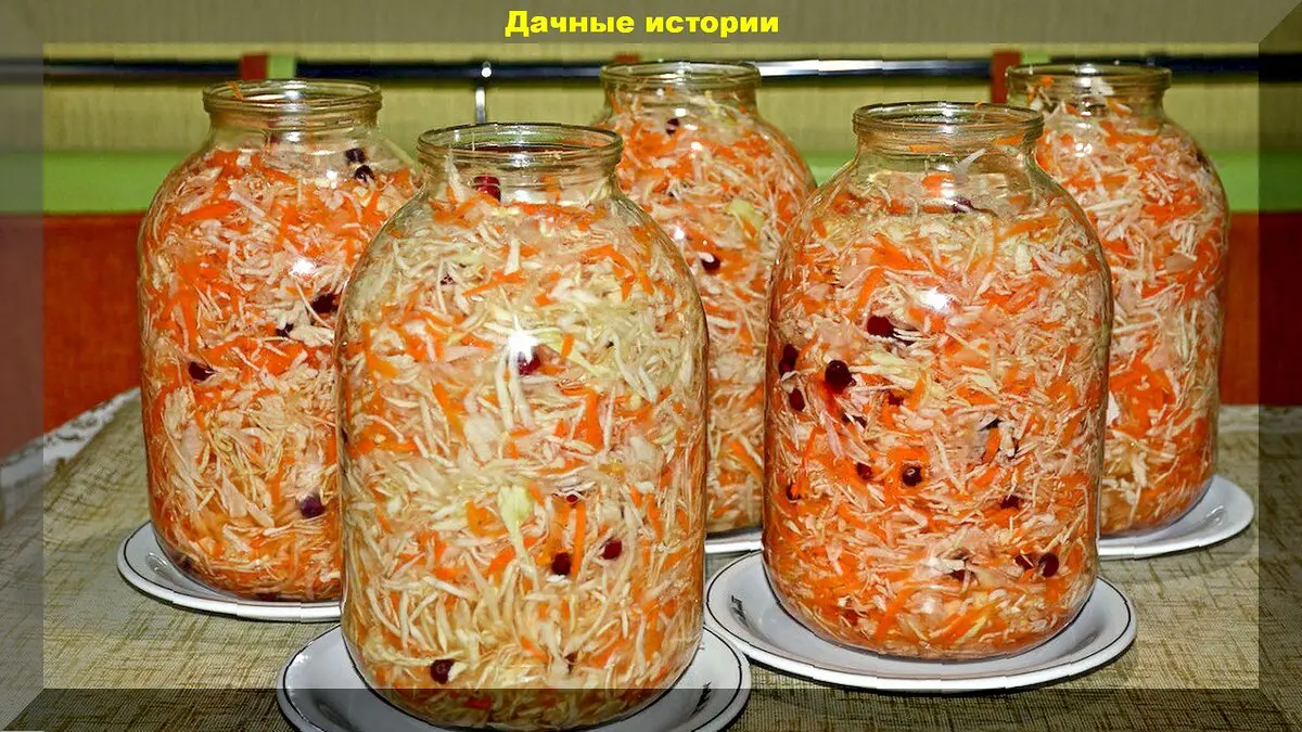 Как на Руси квасили капусту: старинные, деревенские рецепты квашения капусты и важны советы хозяйке-дачнице