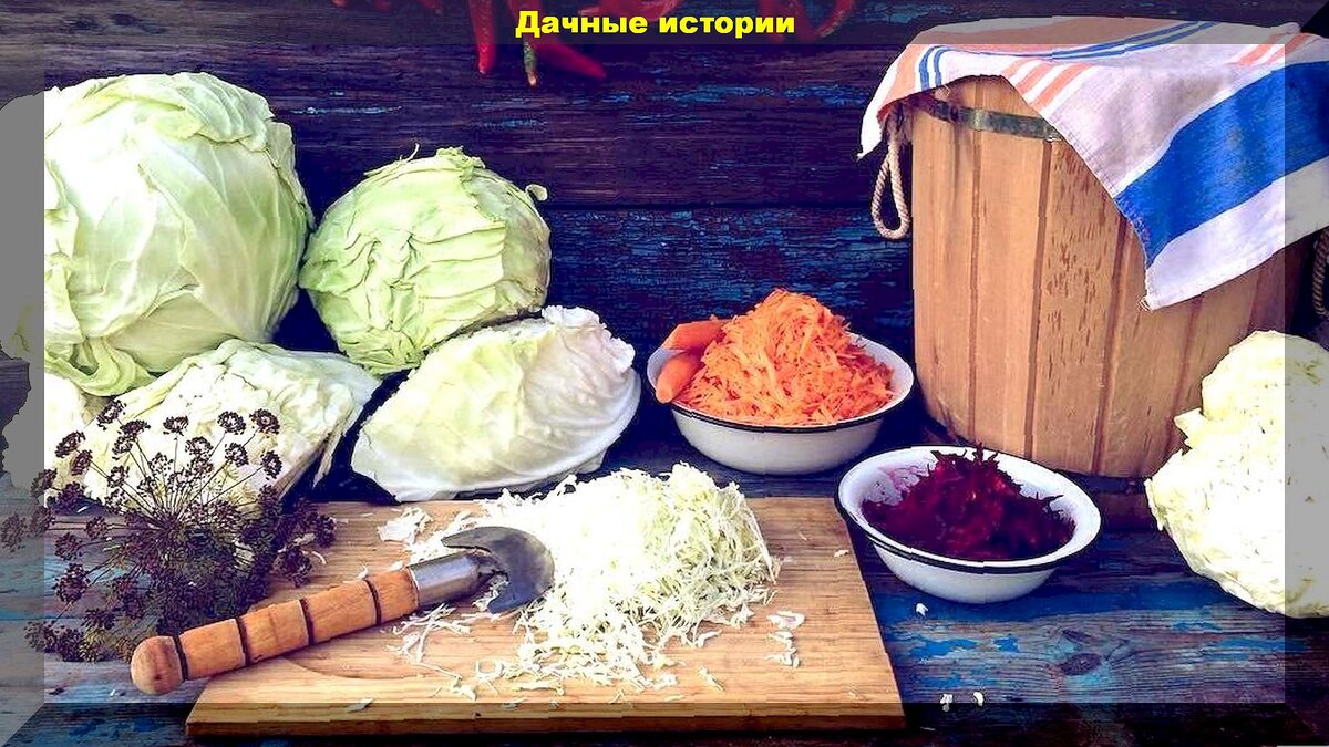 Как на Руси квасили капусту: старинные, деревенские рецепты квашения капусты и важны советы хозяйке-дачнице