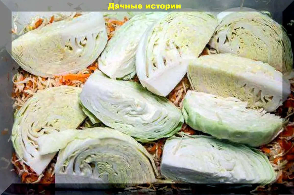Как на Руси квасили капусту: старинные, деревенские рецепты квашения капусты и важны советы хозяйке-дачнице