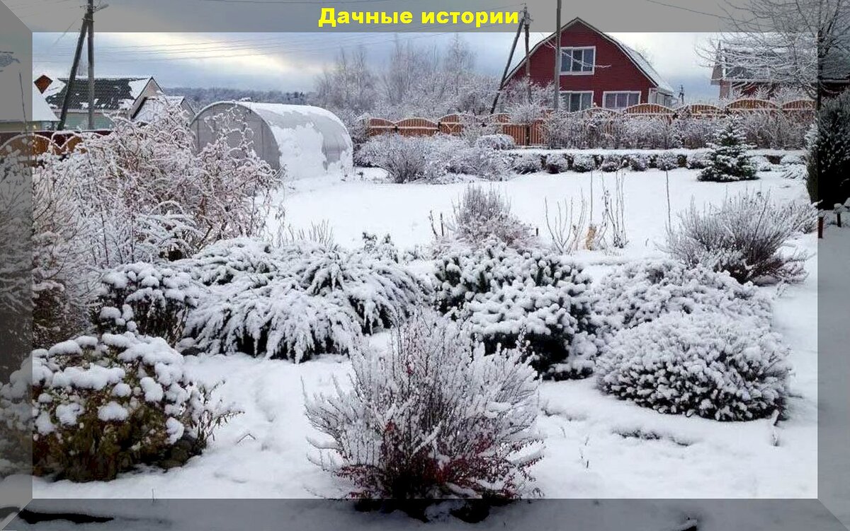 Шпаргалка на декабрь - дачные работы декабря: заботы садовода и огородника в декабре на дачном участке