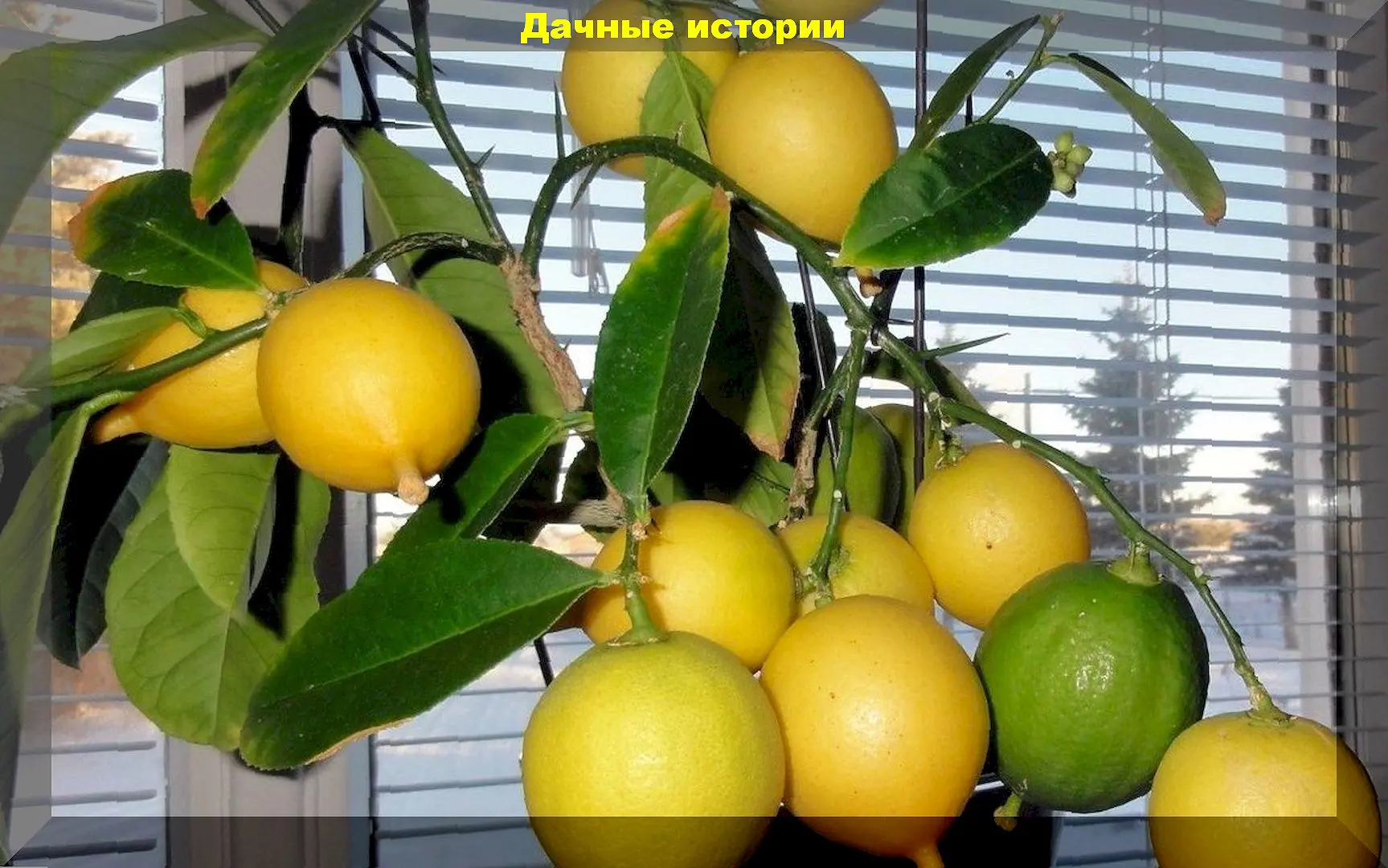 279_result