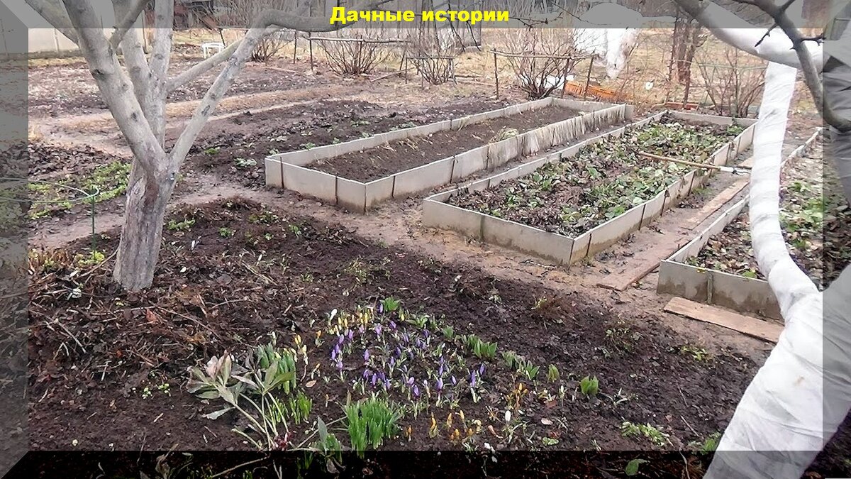 Первые апрельские хлопоты садовода и огородника: список самых важных дел, которые нужно закончить в первой половине апреля