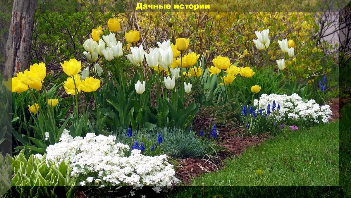 scale_1200 — 2024-04-15T051739.353