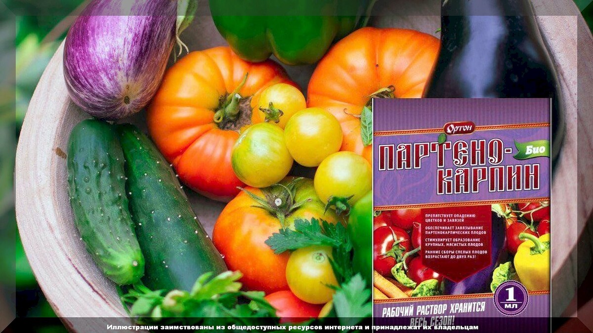 Как повысить завязываемость томатов: чем подкормить томаты и какими препаратами обработать растения чтобы каждый цветок завязал плод