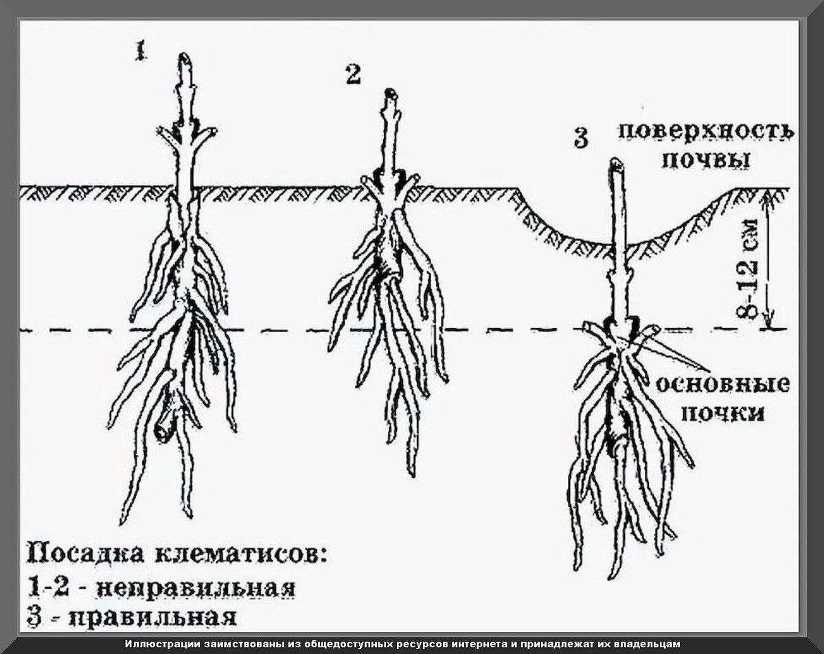 Неотложные садовые и огородные дела сентября: подробно о том, какие дела на даче нужно завершить до конца сентября