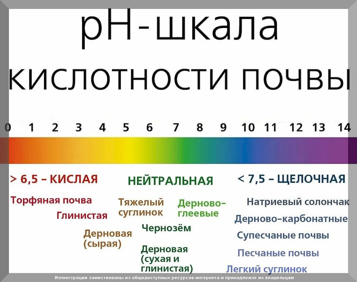 Лучший осенний раскислитель почвы: какой раскислитель для почвы выбрать в конце сезона