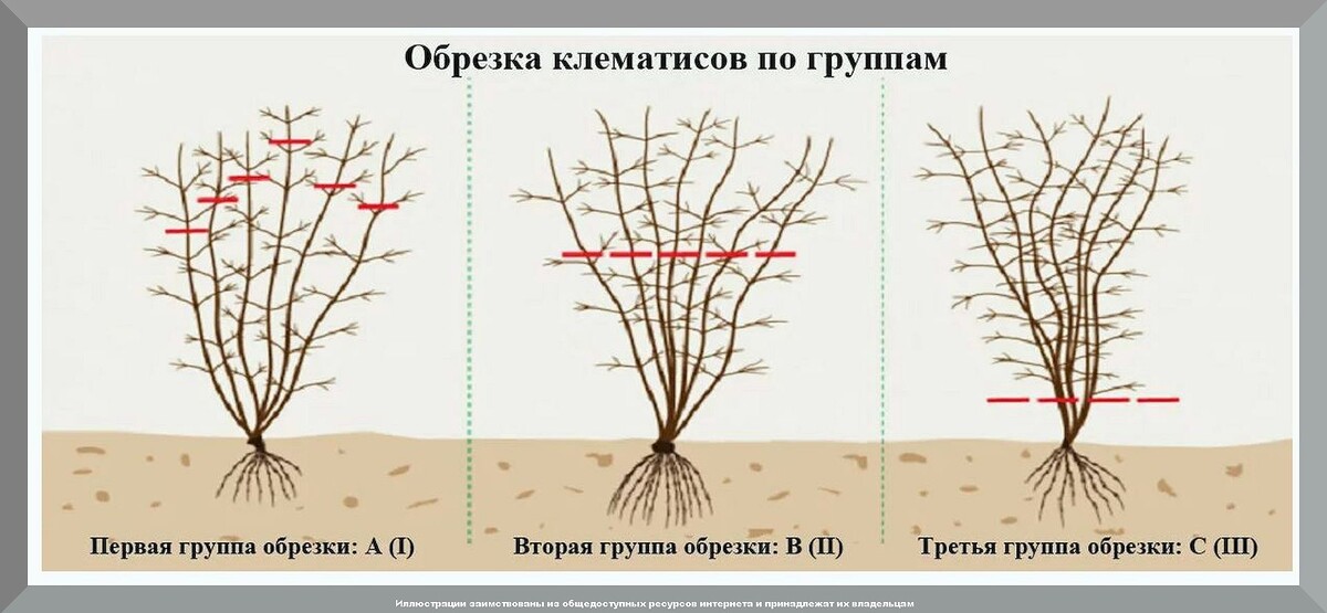 Работы в осеннем саду и огороде: помогаем начинающим дачникам избежать ошибок, отвечая на полсотни интересных вопросов