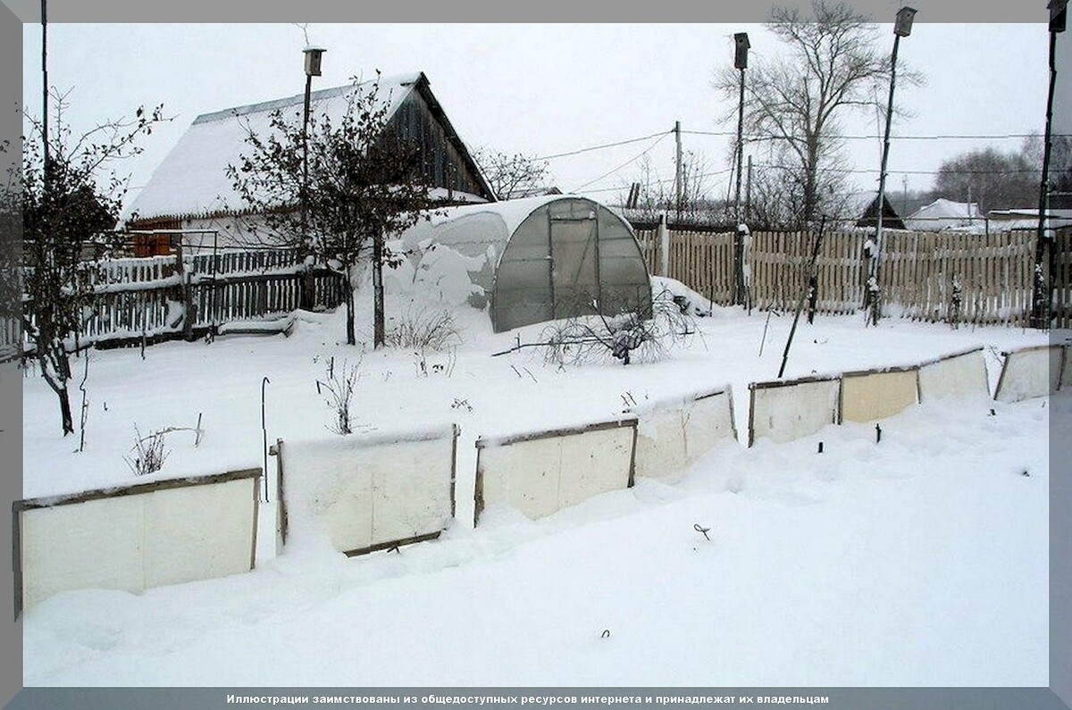 ТОП-20 осенних дел в саду и огороде: какие обязательные осенние работы необходимо сделать на даче до первых заморозков