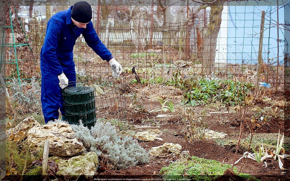 Основные работы в саду и огороде перед морозами: очень подробно о том какие дела в саду и огороде нужно закончить в октябре