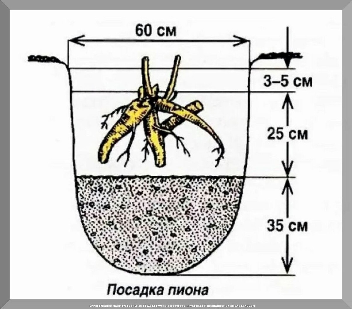 Основные работы в саду и огороде перед морозами: очень подробно о том какие дела в саду и огороде нужно закончить в октябре