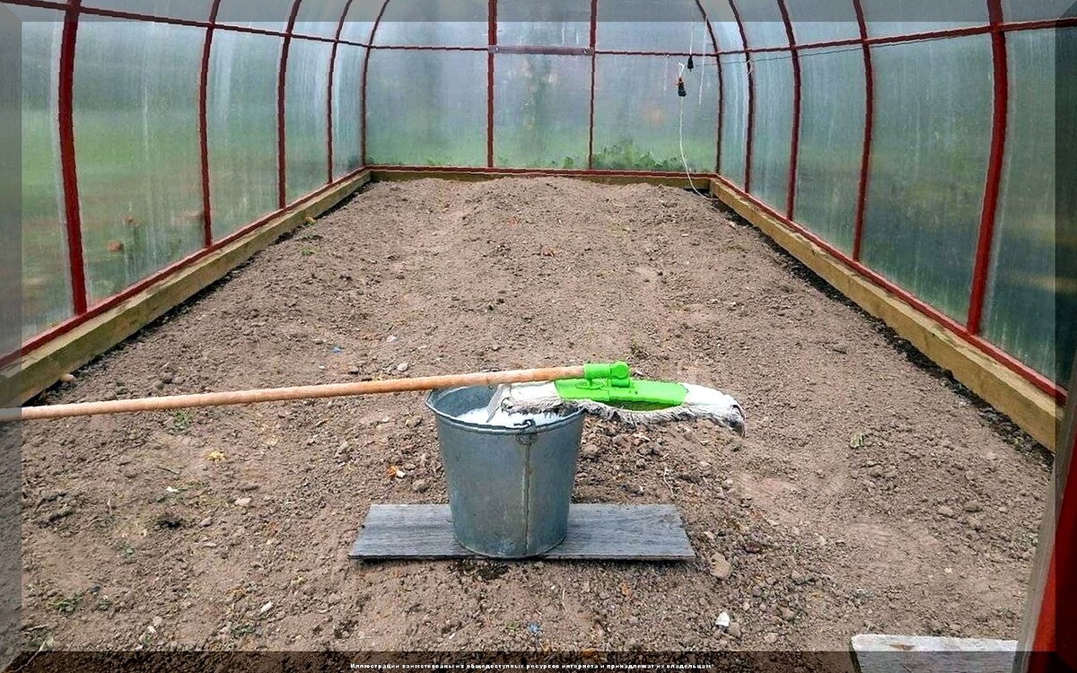 Основные работы в саду и огороде перед морозами: очень подробно о том какие дела в саду и огороде нужно закончить в октябре