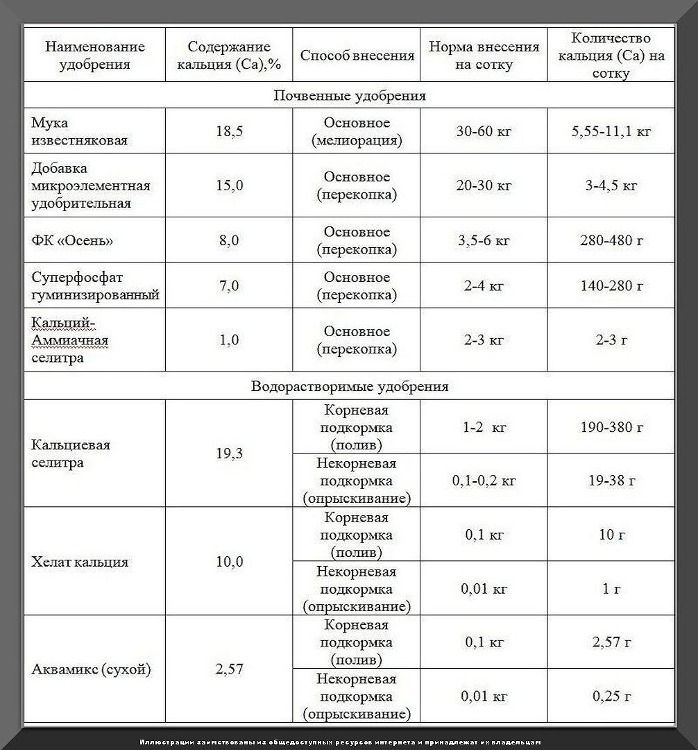 Не только фосфор и калий: какие кальциевые удобрения нужно обязательно вносить осенью