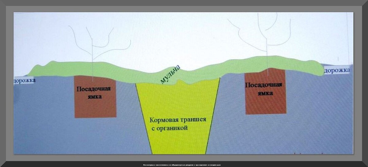 В новый дачный сезон - с новыми знаниями: отвечаем на тридцать пять интересных вопросов от начинающих дачников. Часть 6