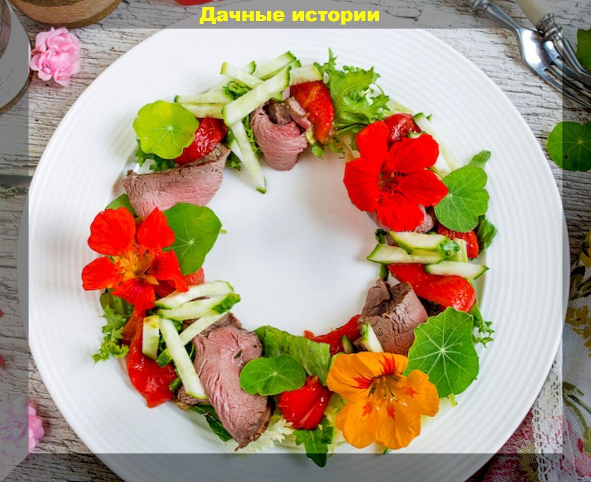 Съедобные цветы используемые в кулинарии: вкусные цветы - деликатесы, которые смогут украсить и стол, и цветник