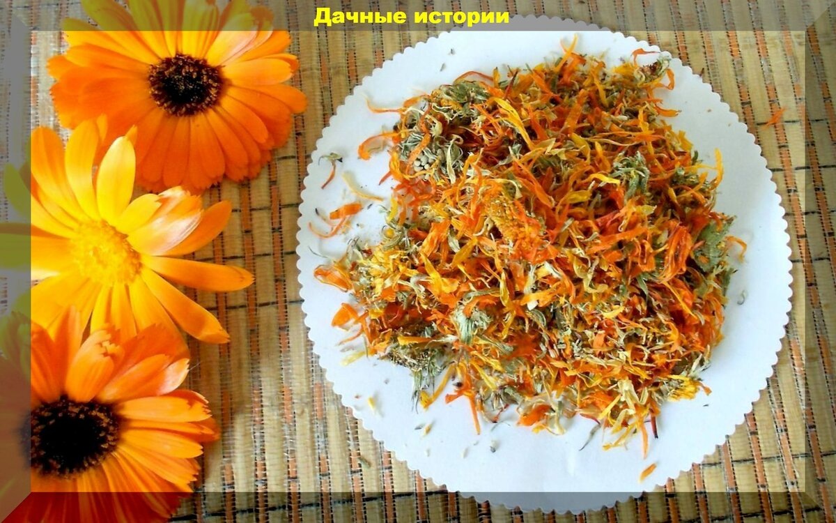 Съедобные цветы используемые в кулинарии: вкусные цветы - деликатесы, которые смогут украсить и стол, и цветник