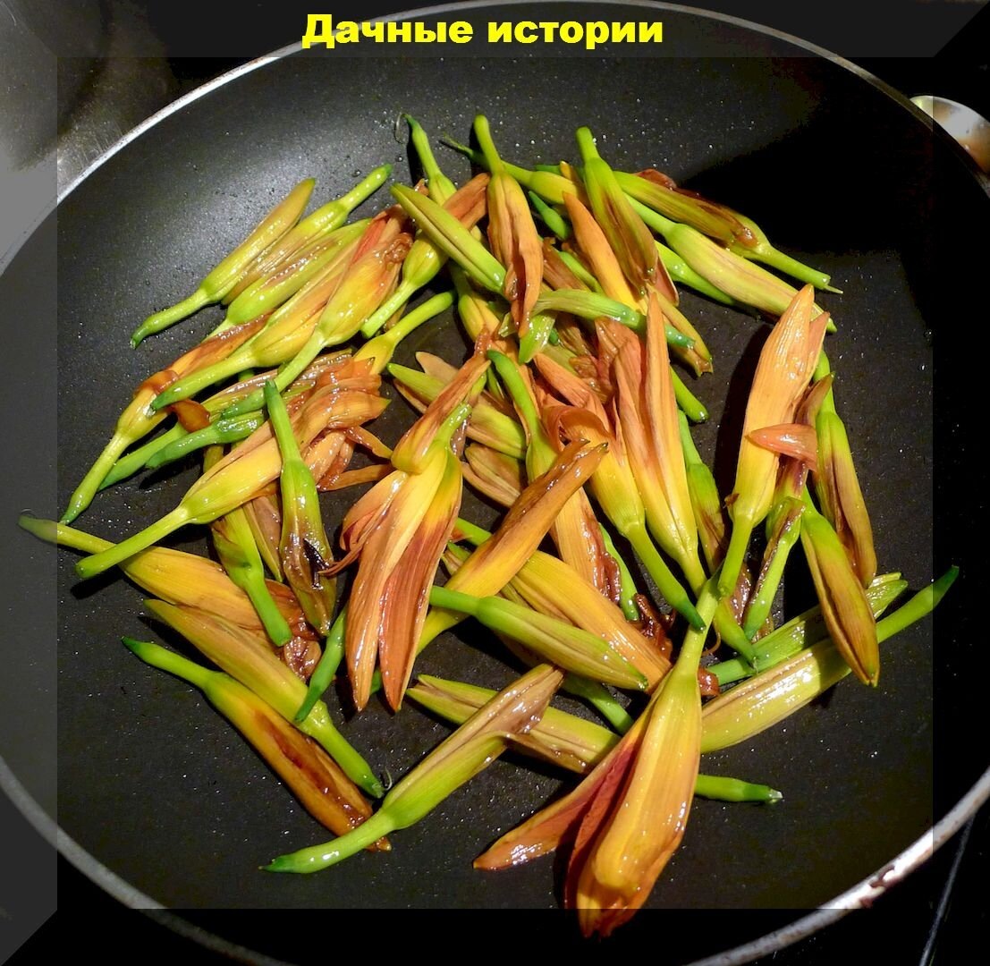 Съедобные цветы используемые в кулинарии: вкусные цветы - деликатесы, которые смогут украсить и стол, и цветник