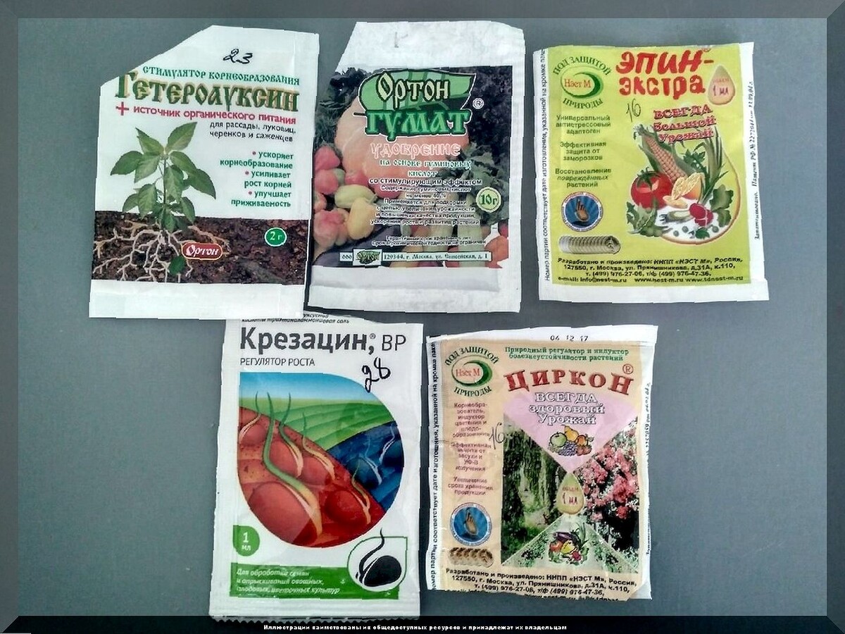 Новый сезон - новые вопросы: отвечаем на пятьдесят новых вопросов от начинающих дачников. Часть 7