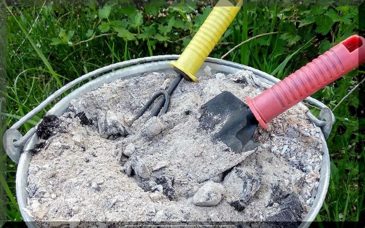 Секреты высадки рассады на постоянное место: как добиться полной приживаемости рассады и правильно ухаживать за ней после высадки