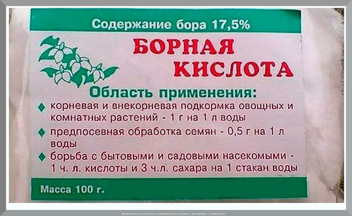 Самая правильная подкормка борной кислотой: как подкармливать растения бором, чтобы борные подкормки принесли только пользу