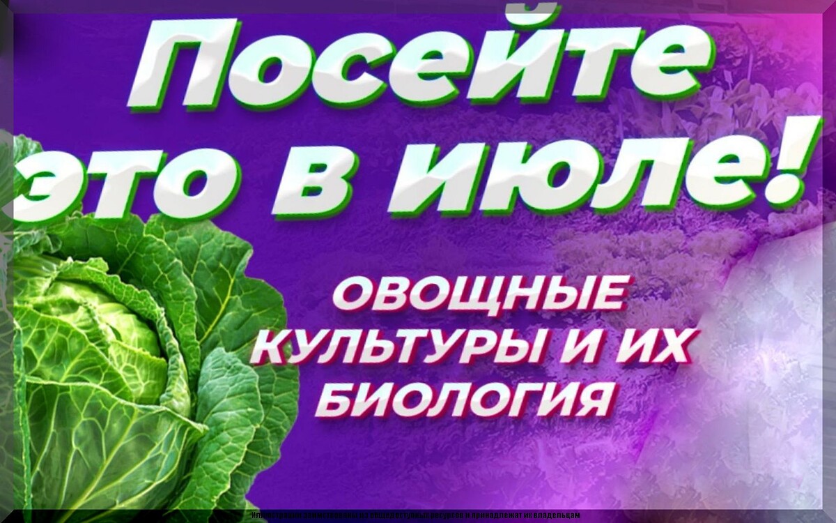 scale_1200 — 2025-07-08T161723.106