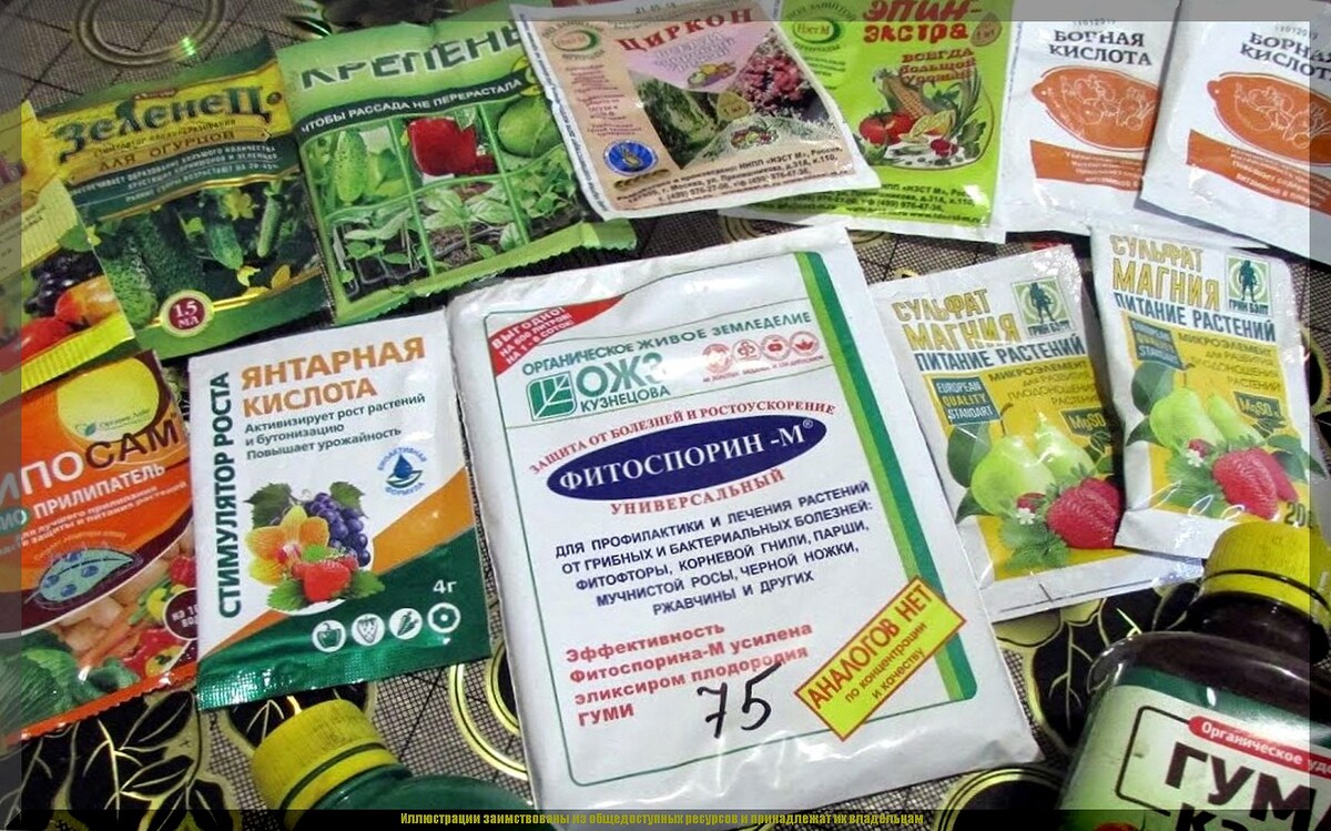 Самые популярные биопрепараты: о плюсах и минусах живых биопрепаратов для защиты сада от болезней и насекомых-вредителей